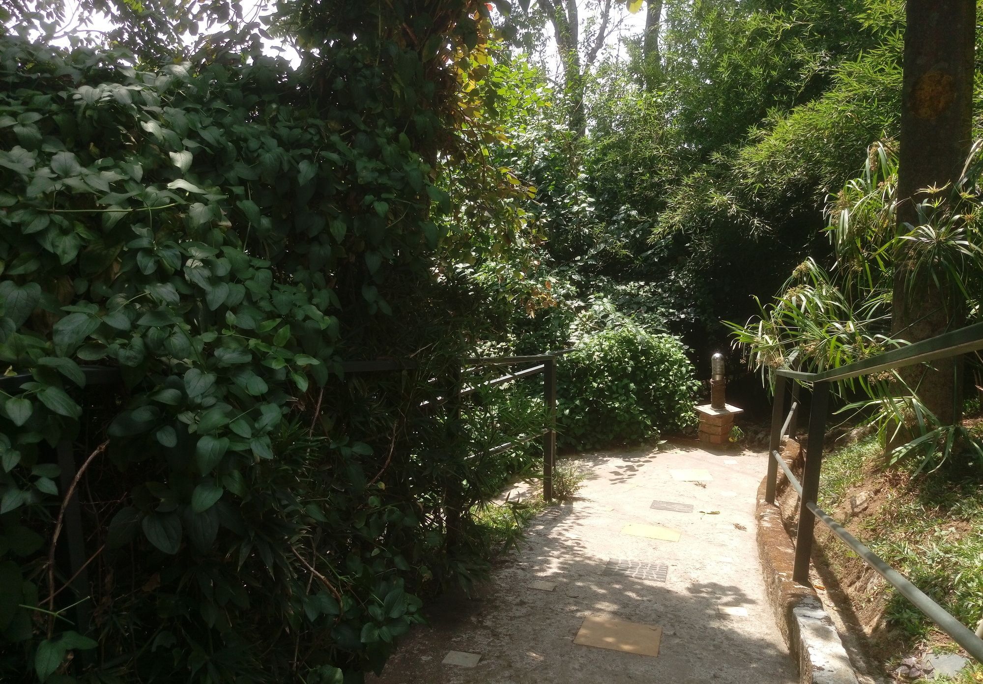 Hotel Spicetree Munnar Chinnakanal Exterior foto